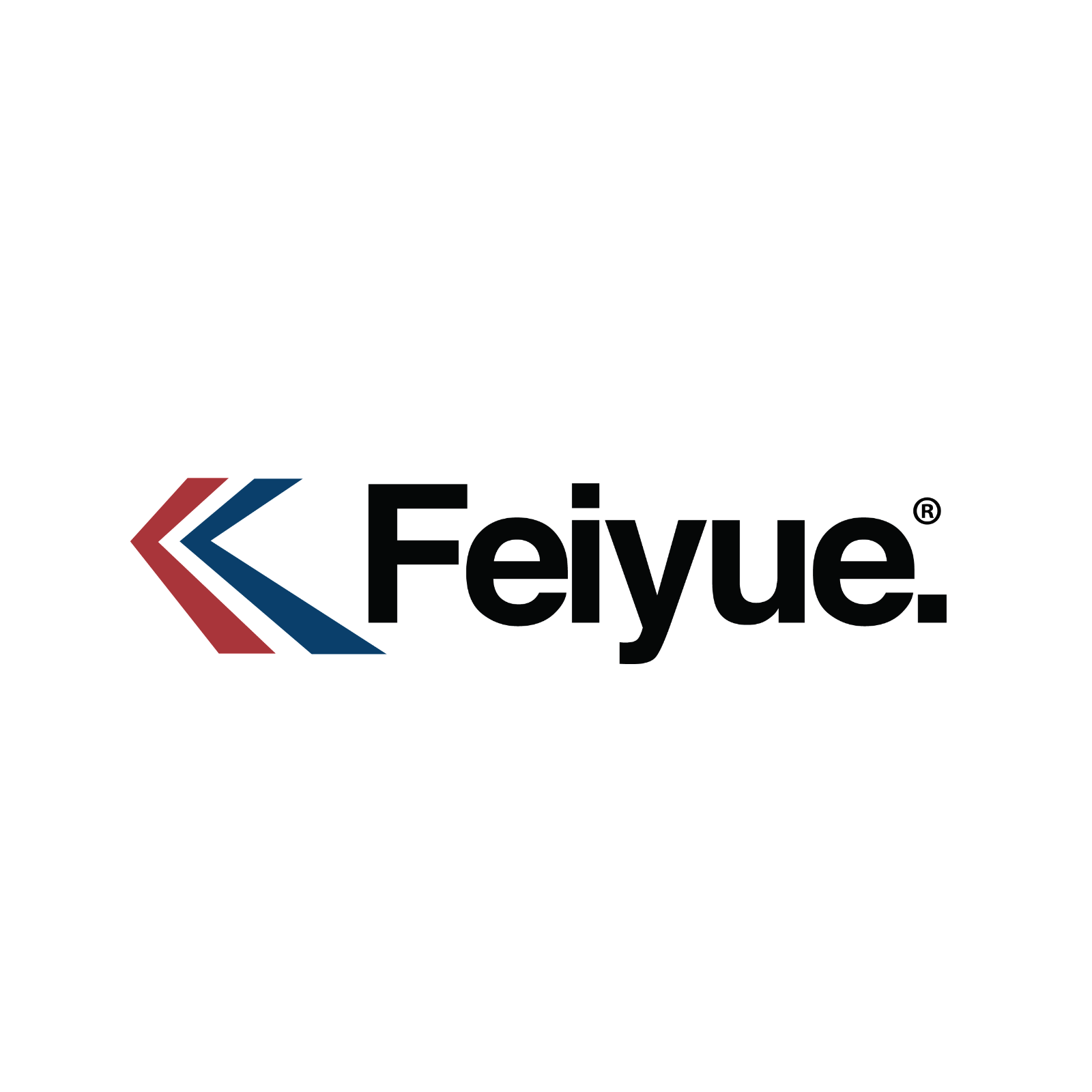 Feiyue