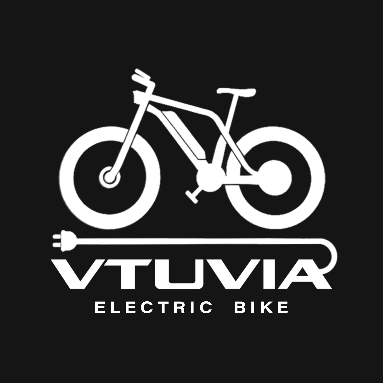 VTUVIA Ebike