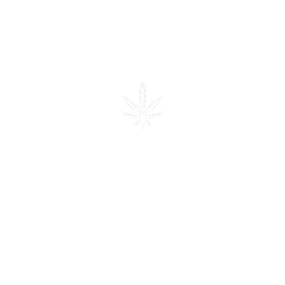 THE PLANT OF GOD