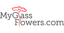 Glass Flowers by Scott Johnson