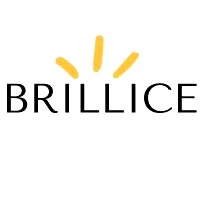 Brillice