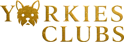 Yorkies Clubs